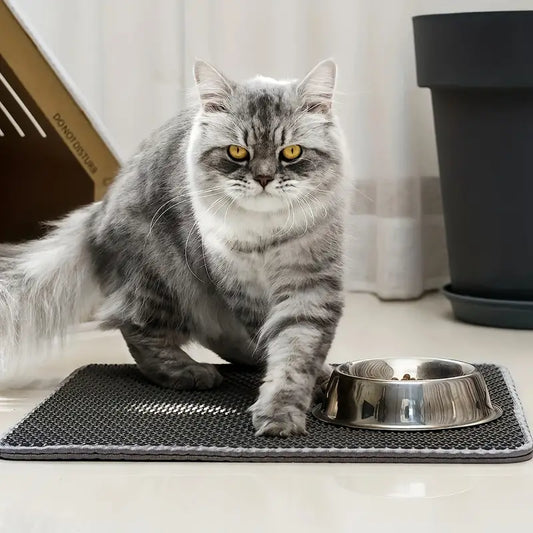 Effectieve Kattenbak mat voor in je huis